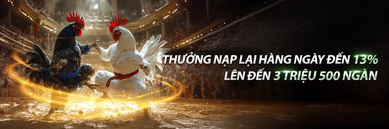 Hình ảnh chủ đạo blog da ga65 với chủ đề đá gà trực tuyến